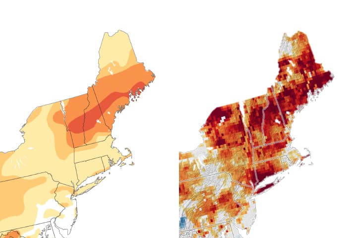 Northern New England Faces Historic Drought, Threatening Wells and Farms