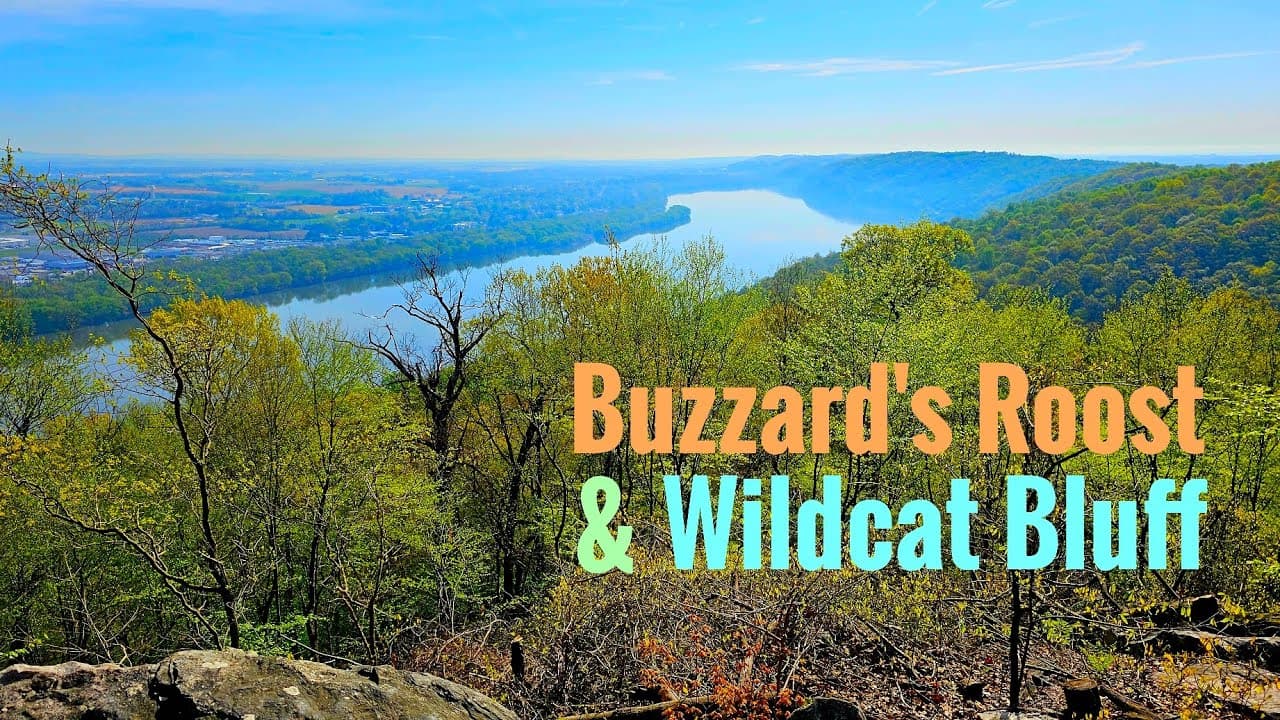 Eagles Bluff and Buzzard Roost Offer Local Views, Boost Fall Tourism