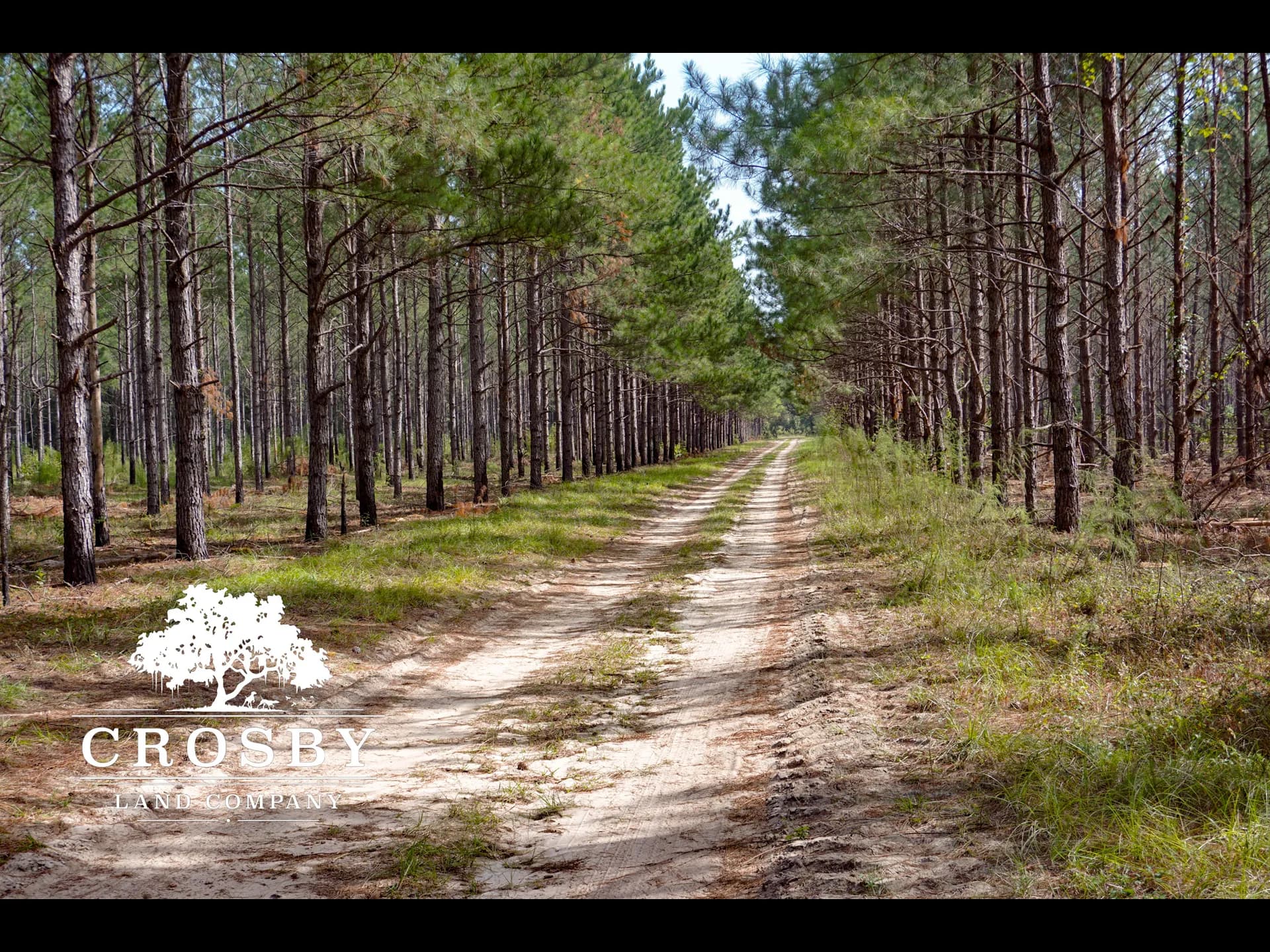 Where to Enjoy Low Cost Outdoor Recreation in Allendale County