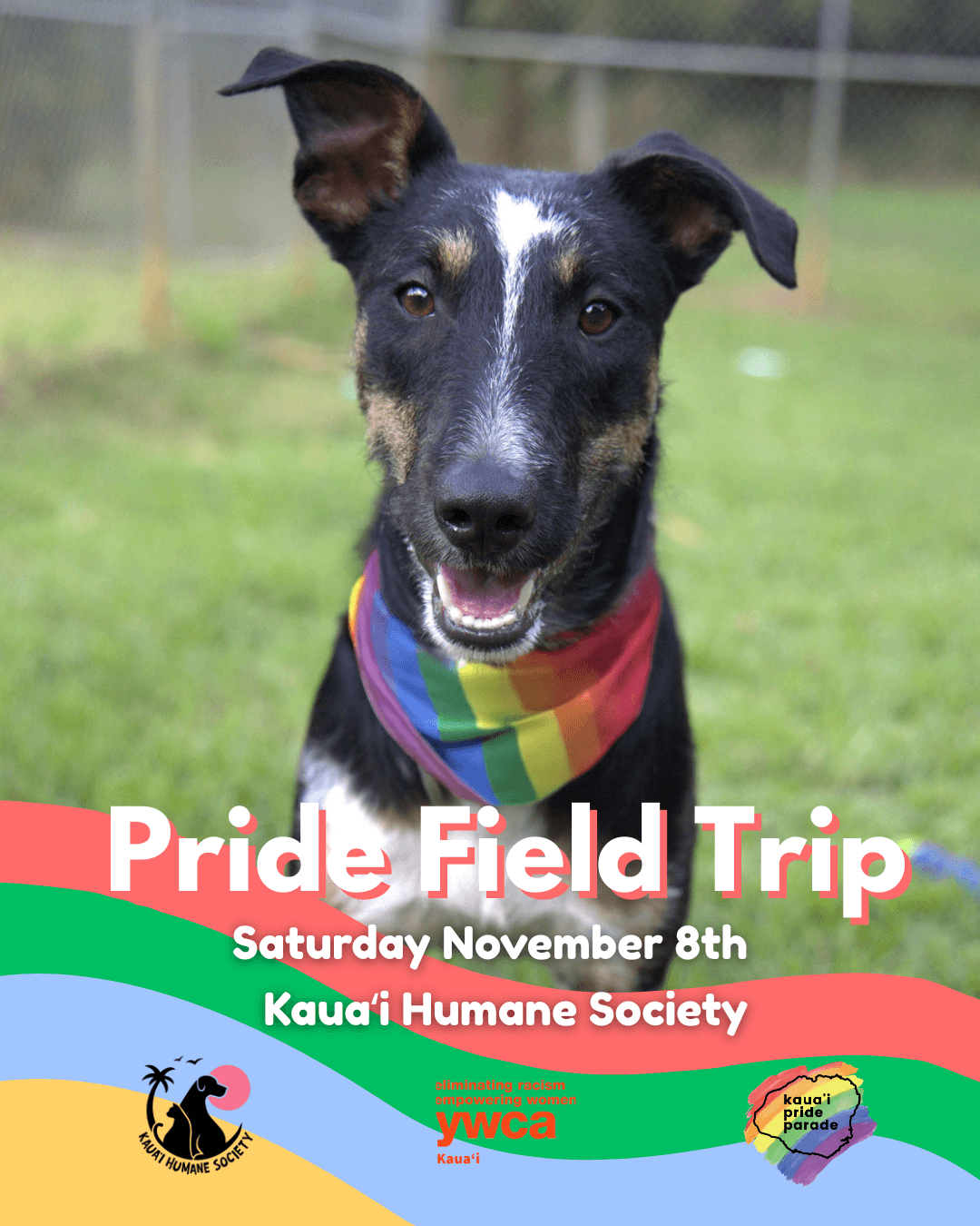 Kauaʻi Pride, Humane Society Host Field Trip to Boost Dog Adoptions
