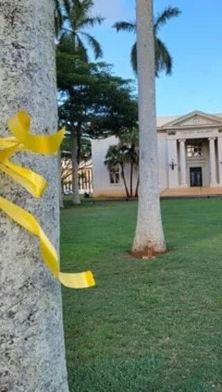 Downtown Lihue Night Market Boosts Small Businesses and Community Life