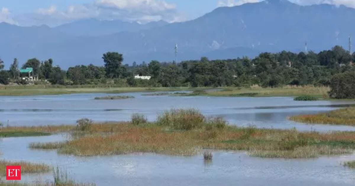 First NISAR Radar Images Reveal U.S. Forests, Wetlands In New Detail