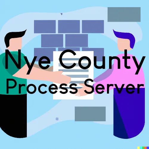 Nye County Services Guide, How to Access Local Government Resources