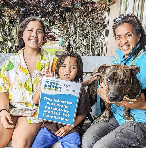 Kauaʻi Humane Society Expands Playgroup Program to Boost Dog Adoptions
