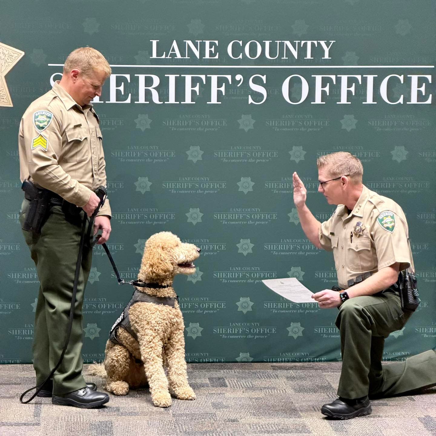 Lane County swears in therapy dog to support deputies