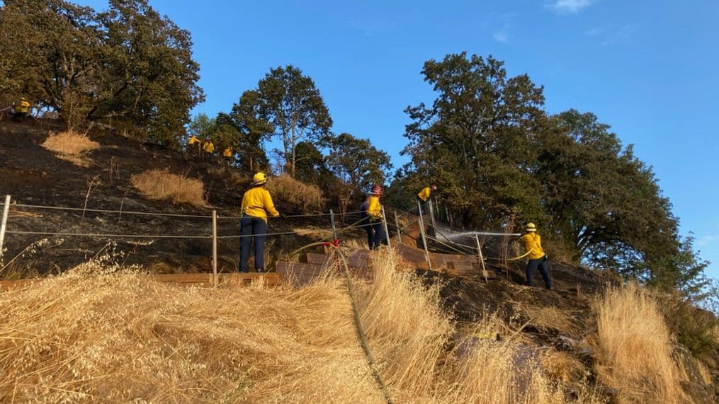Arrest at Skinner Butte Park Raises Questions About Policing Response