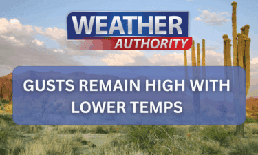 Thrift Sale Supports Low Cost Spay and Neuter Services