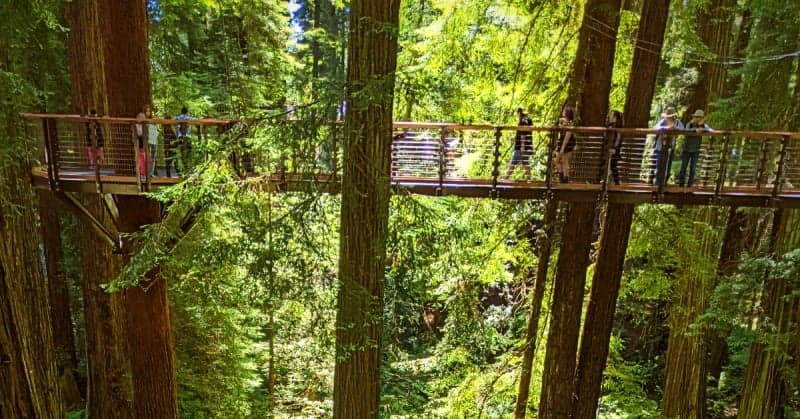Sequoia Park Zoo and Redwood Sky Walk Continue Serving Community