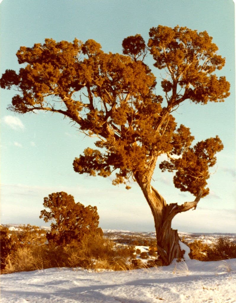 Winter in Gallup, McKinley County Visitor Guide and Tips