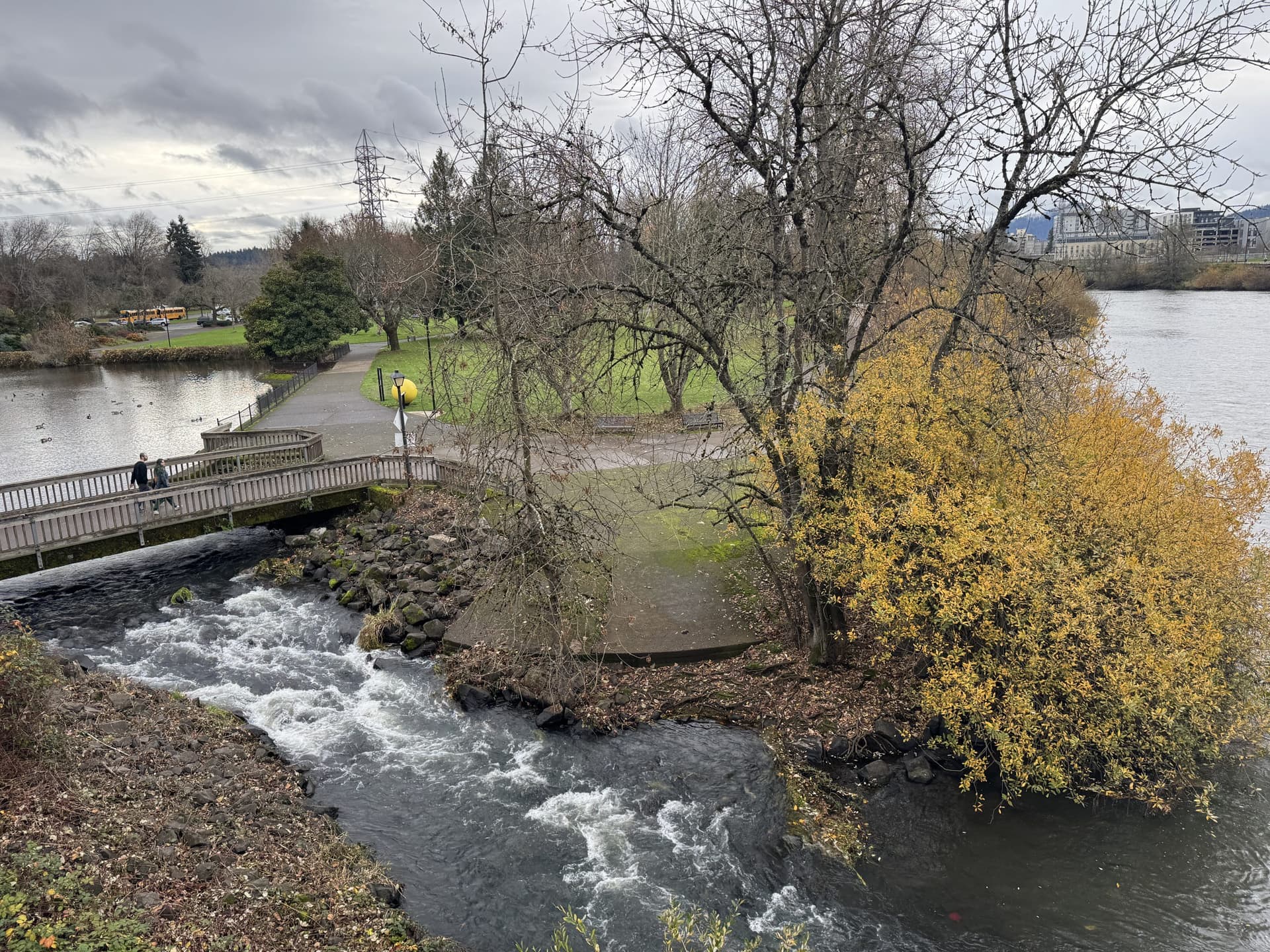 Atmospheric River Threatens Heavy Rain, Flooding Across Lane County