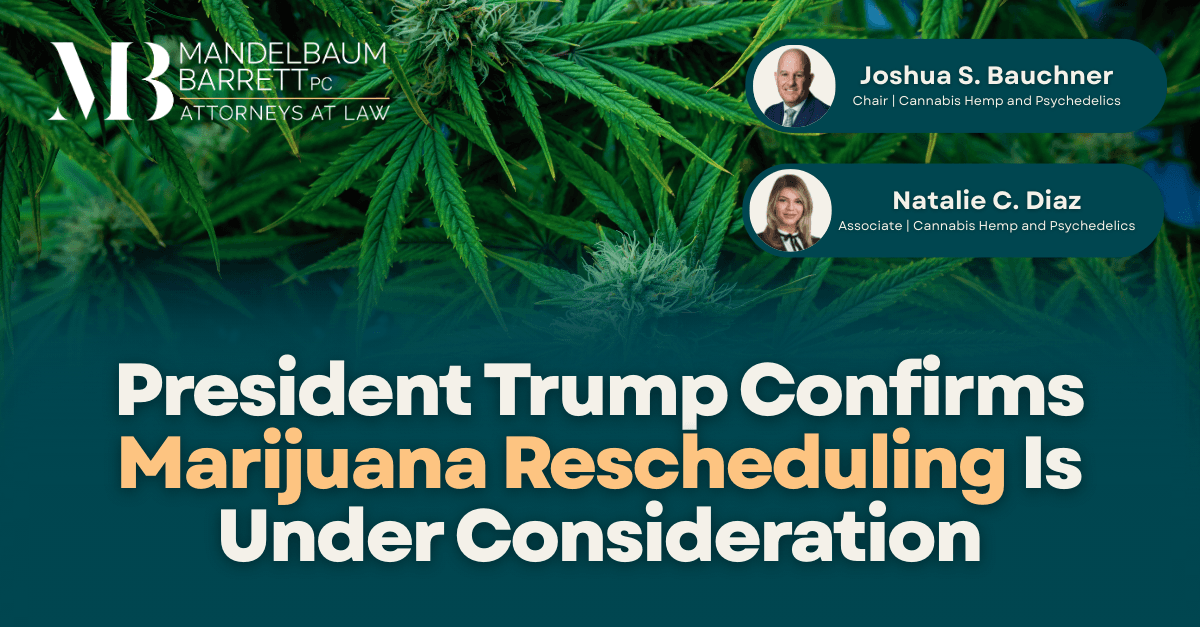 Trump order to expedite cannabis rescheduling unlikely to shield users