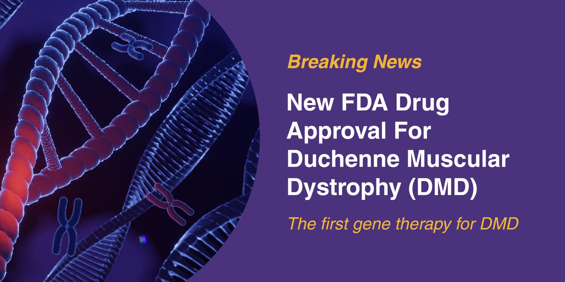 FDA Clears Arrowhead RNA Therapy for Rare Fat Disorder, Paving Commercial Path