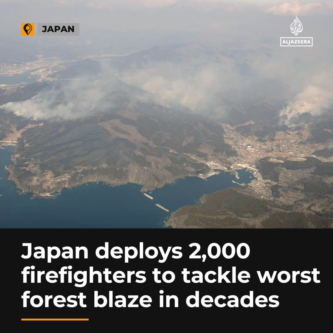 Devastating Blaze Levels Oita Neighborhood, Over 170 Buildings Destroyed