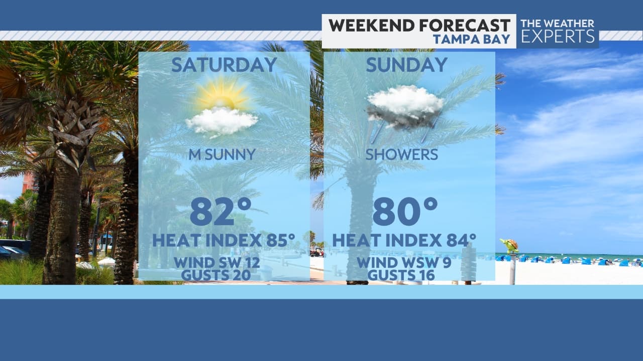 Hernando County holiday gatherings drew families, raised equity and health questions