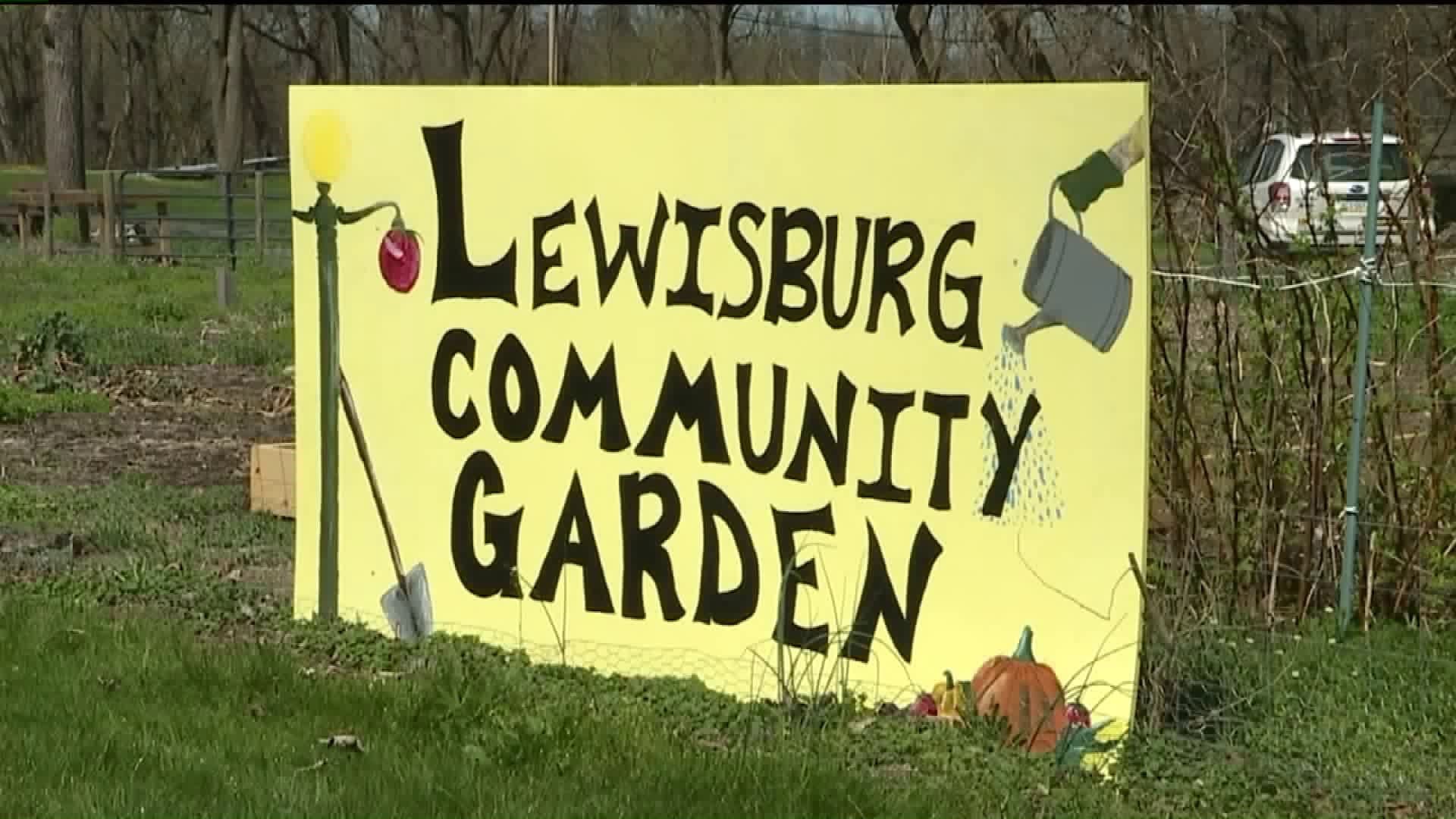 Lewisburg Community Garden Donates 1,800 Pounds, Plans Expanded Education