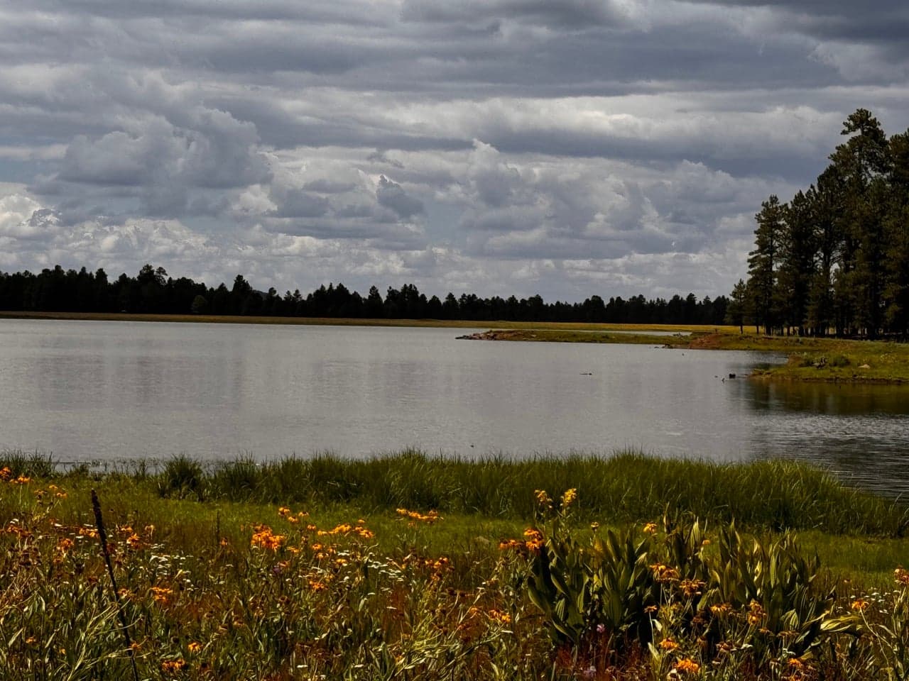 Big Lake and Horseshoe Cienega Lake drive Apache County tourism