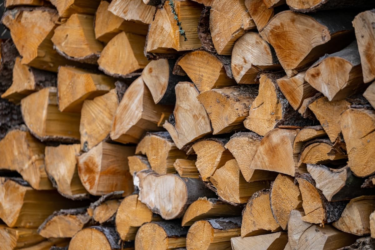 San Juan Forest Firewood Permits Available Through December in Dolores County