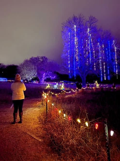 Holidays at the Heard Brings Lights, Santa, Dinosaurs to McKinney