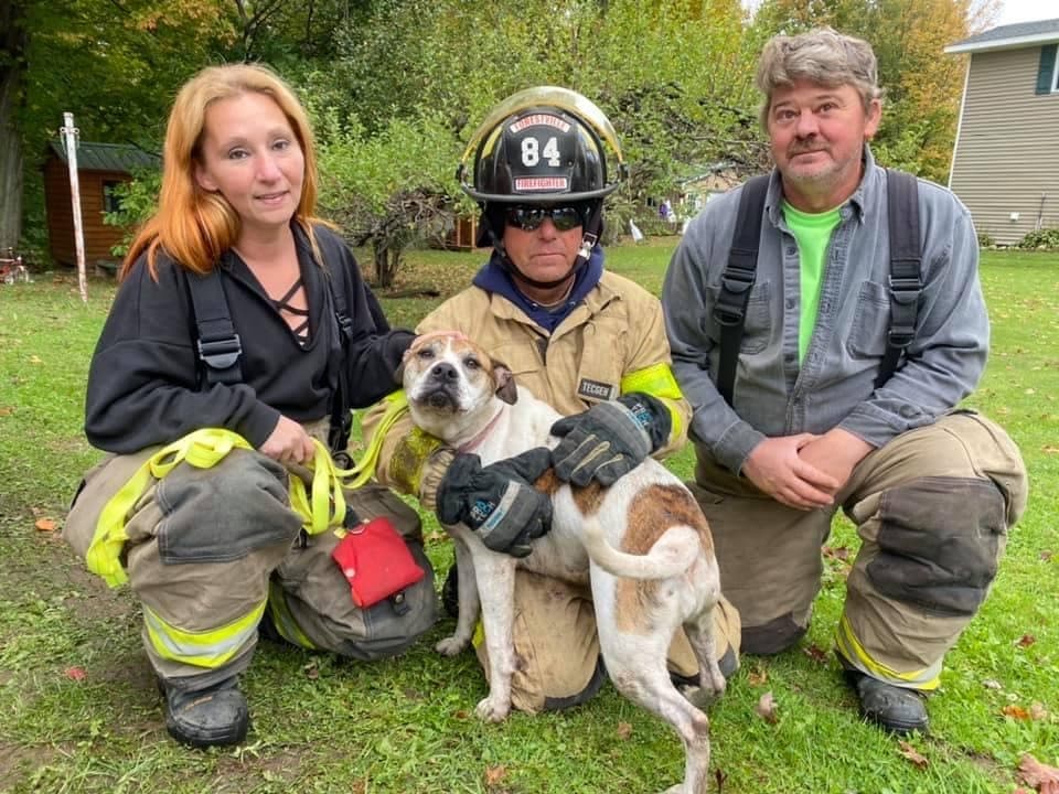 Man Allegedly Sets Dog on Fire in Forestville, Community Shocked