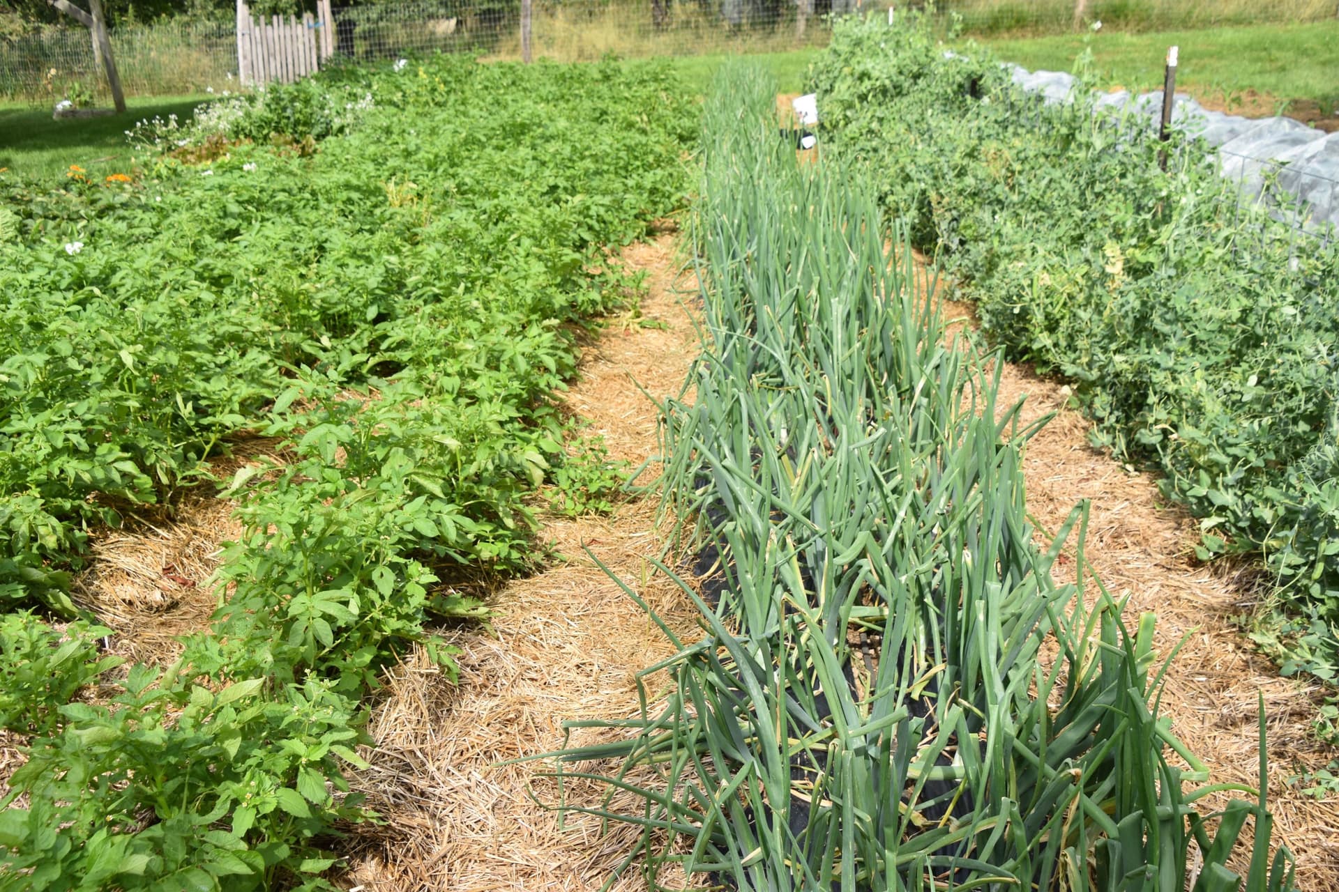 Holmes County Organic Farming Conference Returns to Mt. Hope This November