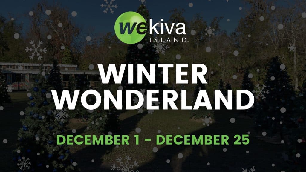 Wekiva Island Winter Wonderland Opens, Community Benefits and Concerns