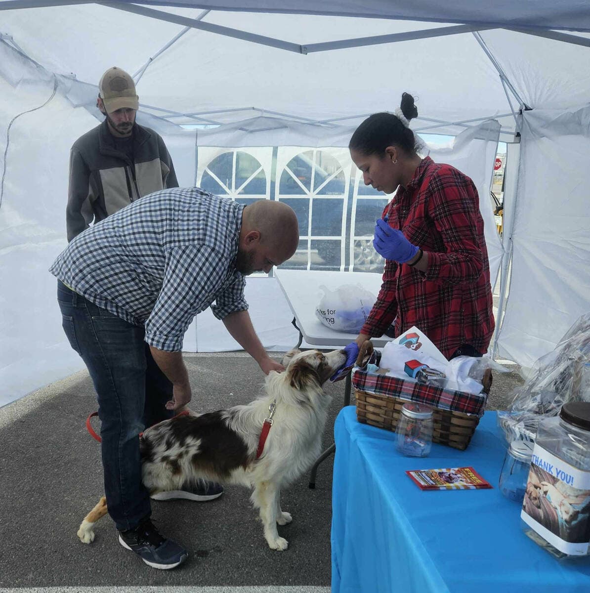 Dawg House Rescuers Hosts Final Microchipping Clinic of Year