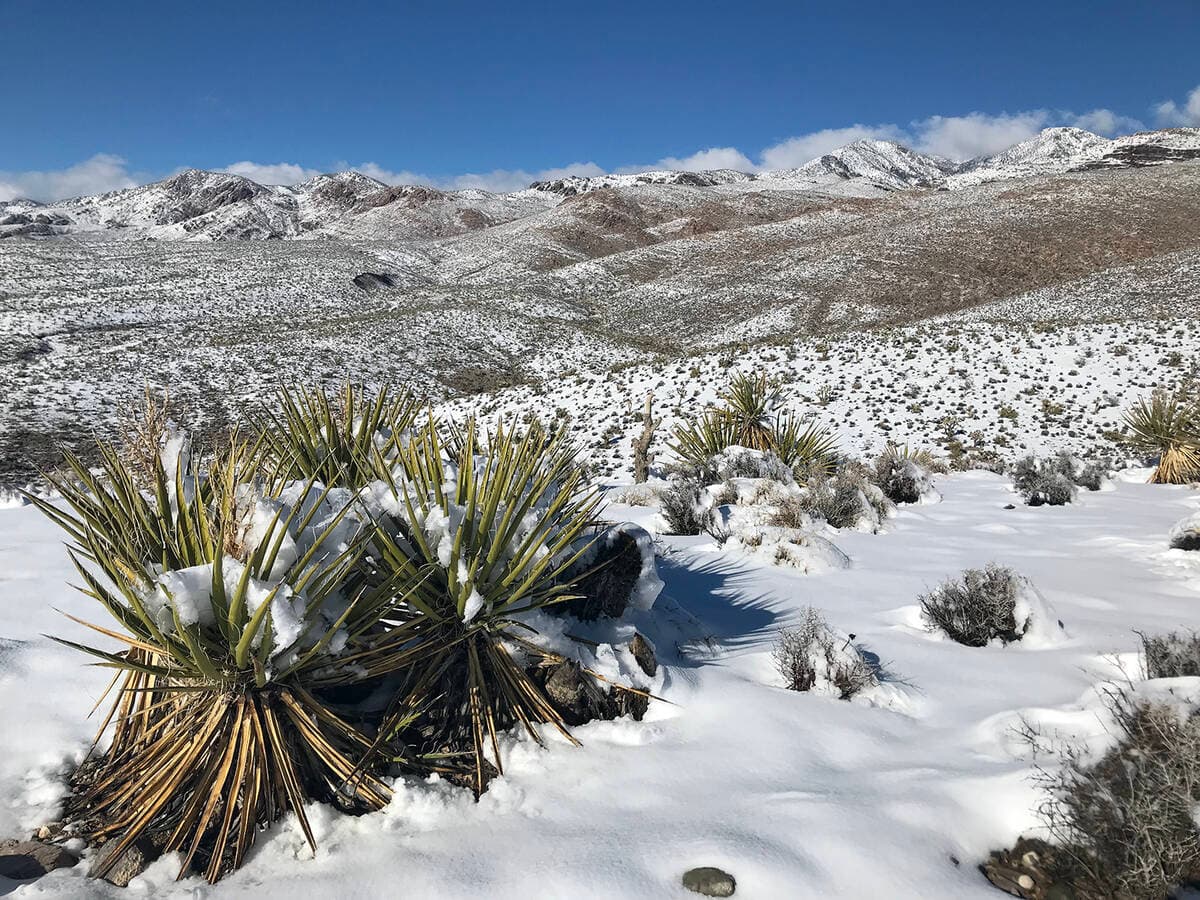 Governor Lombardo Announces Statewide Student Multimedia Art Challenge