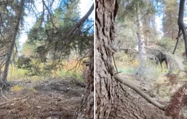 High Point Closes South Main Block for Yearlong Reconstruction Project