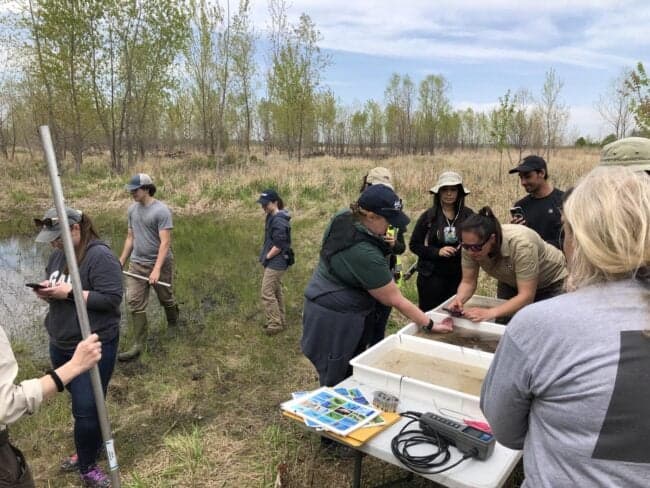 Meredosia refuge protects river habitat and expands outdoor access