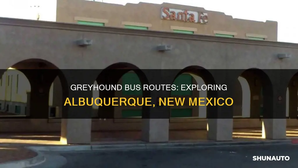 New Greyhound Route Connects Farmington to Albuquerque and Durango