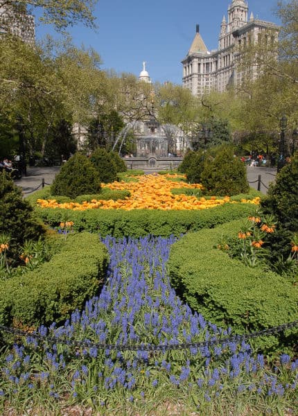 Tell City Apple Drop Returns to City Hall Park New Year’s Eve