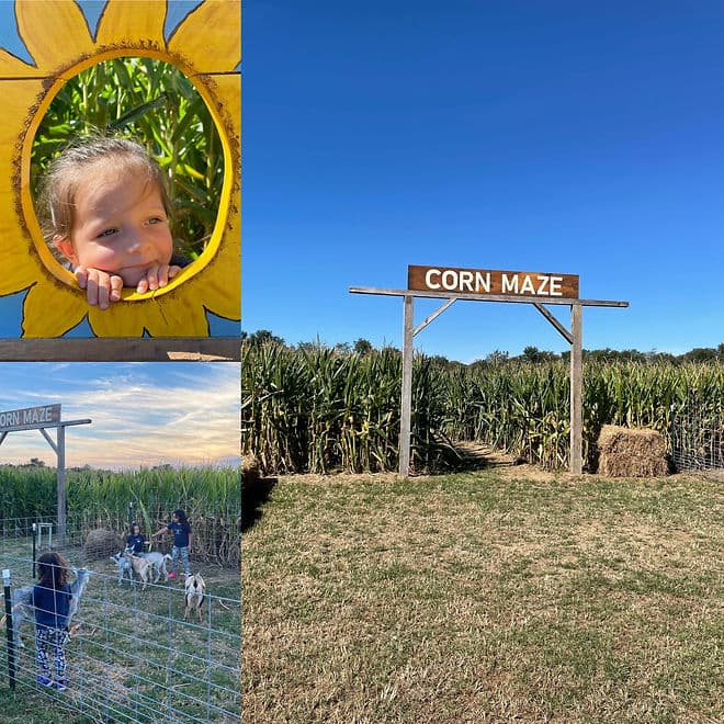 Hedge Field Fall Fest drew families to Upper Deerfield, highlighted local needs