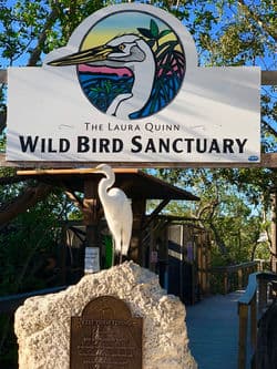Laura Quinn Sanctuary Remains Key Low‑Cost Wildlife Stop for Monroe Residents