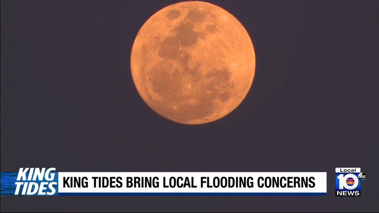 Supermoon and King Tides Threaten Flooding Across Monroe County