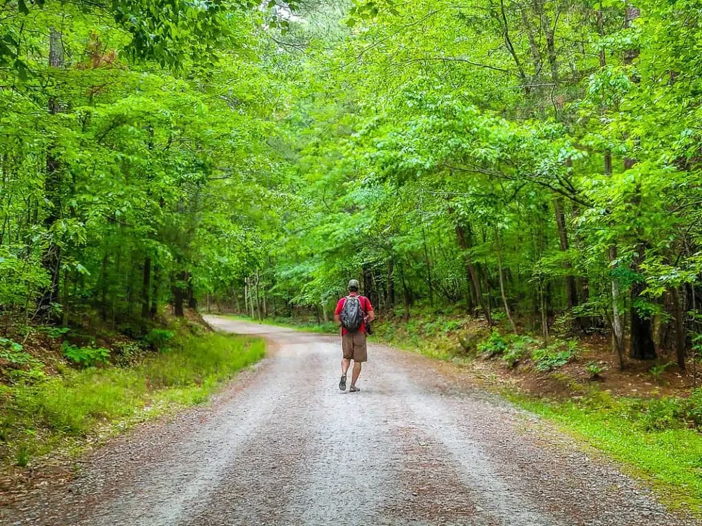 Umstead State Park, Wake County's Urban Wilderness Under Public Care