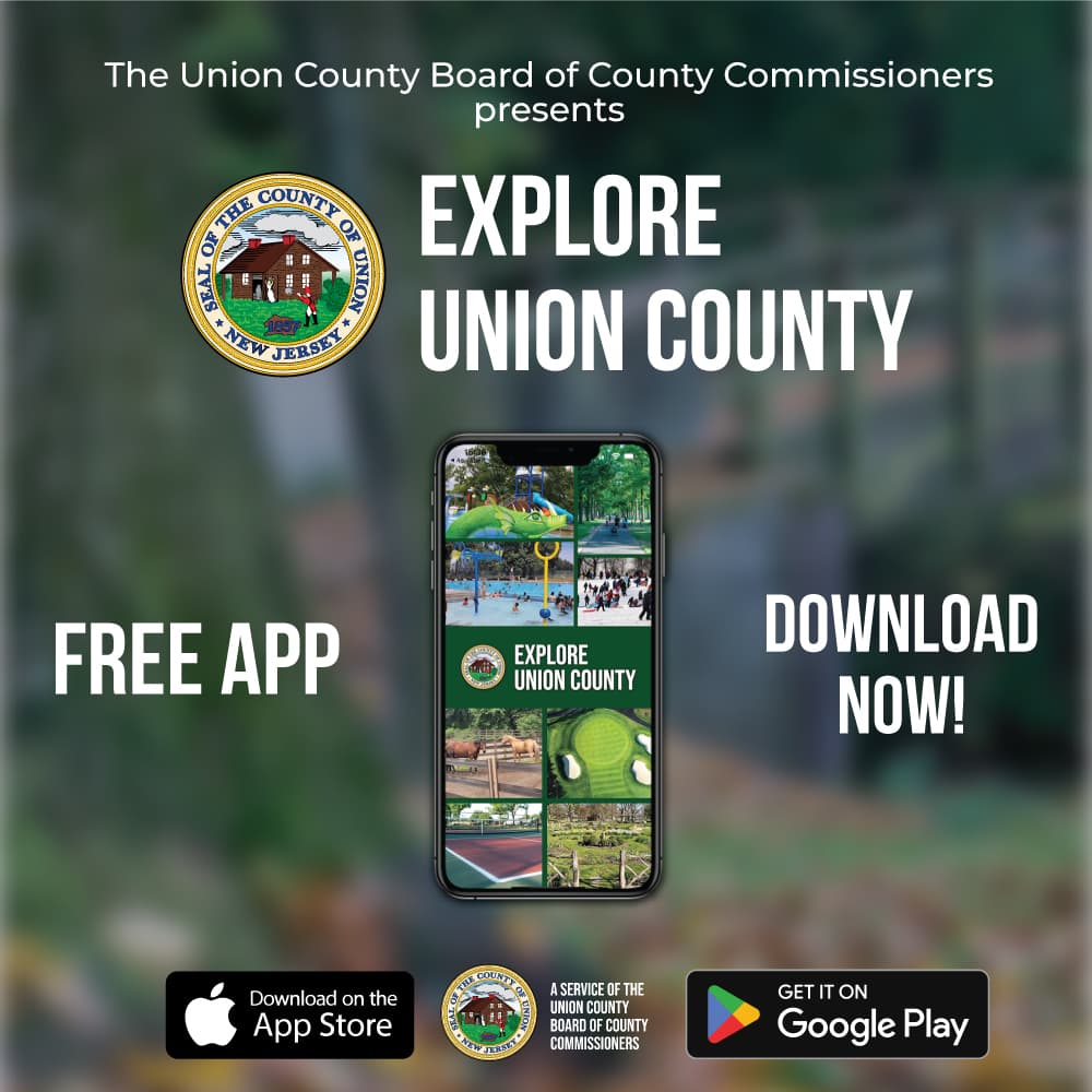 Union County Website Centralizes Services, Streamlines Access for Residents