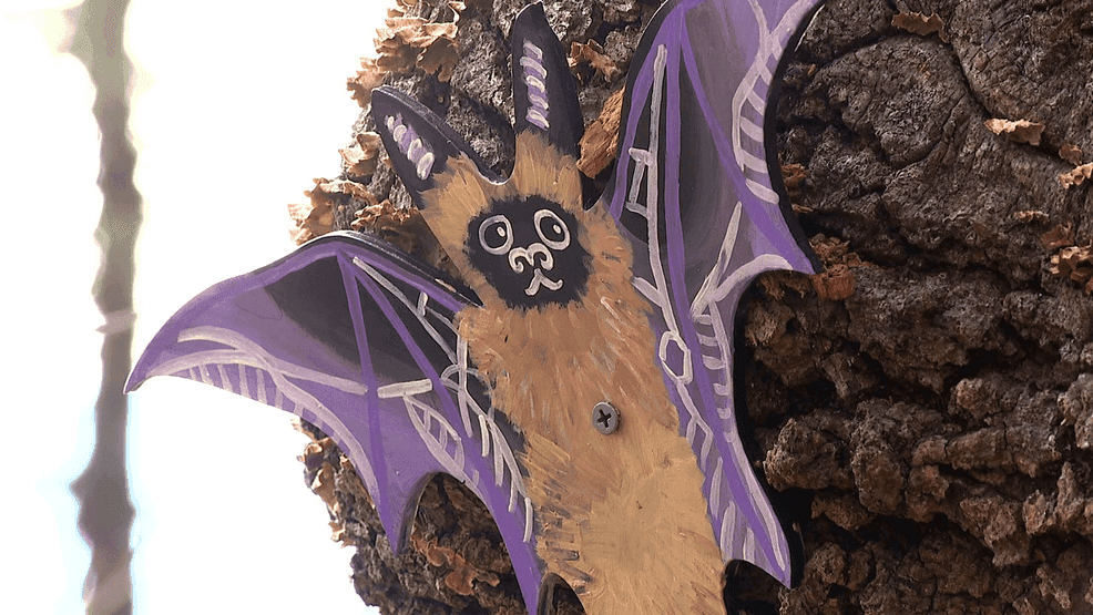 Temporary Art Installation Removed from UNC Asheville Woods Sparks Debate