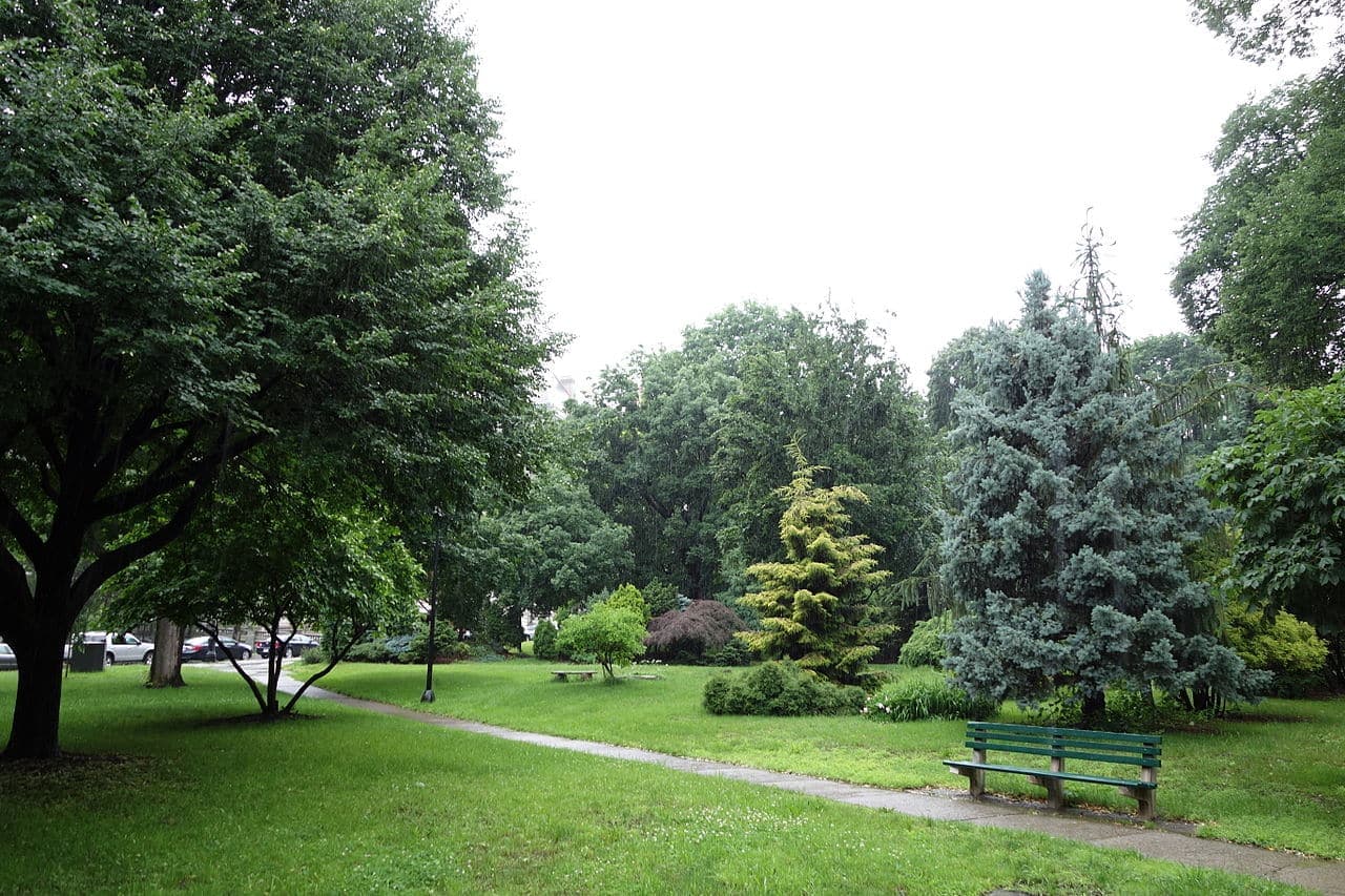 Top Albany County Attractions for Residents and Visitors to Explore