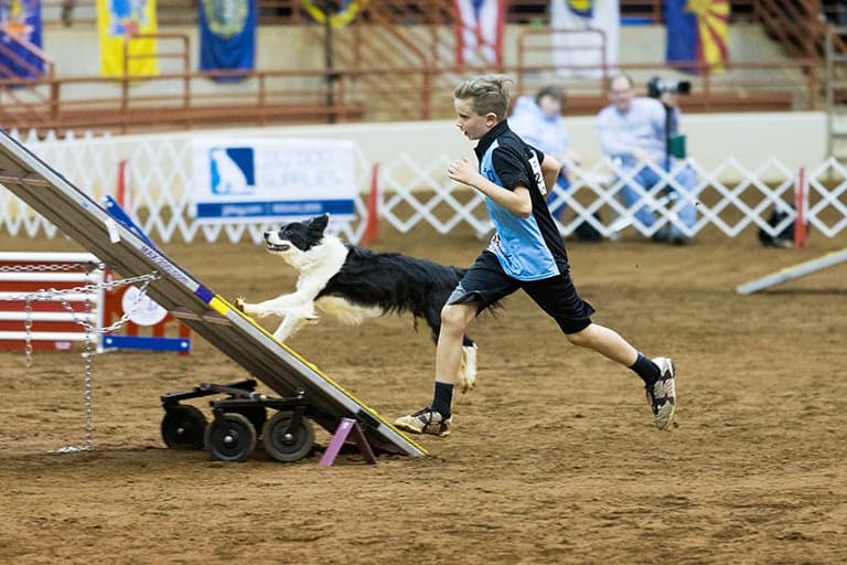 Dog Ability Trials Bring Competitors to Autaugaville Arena Today