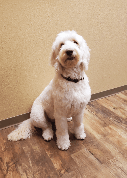 Coryell County Jurors Redirected to Leon Street Annex Today