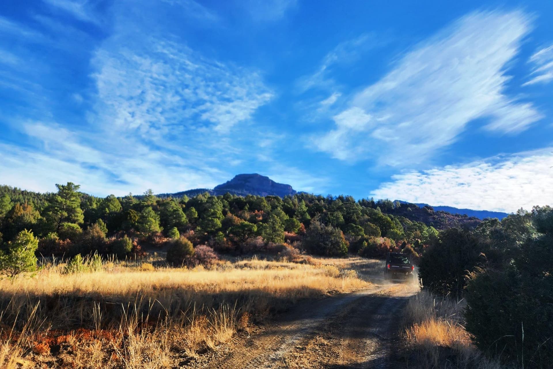 Trinidad and Fisher's Peak Drive Tourism, Support Local Services