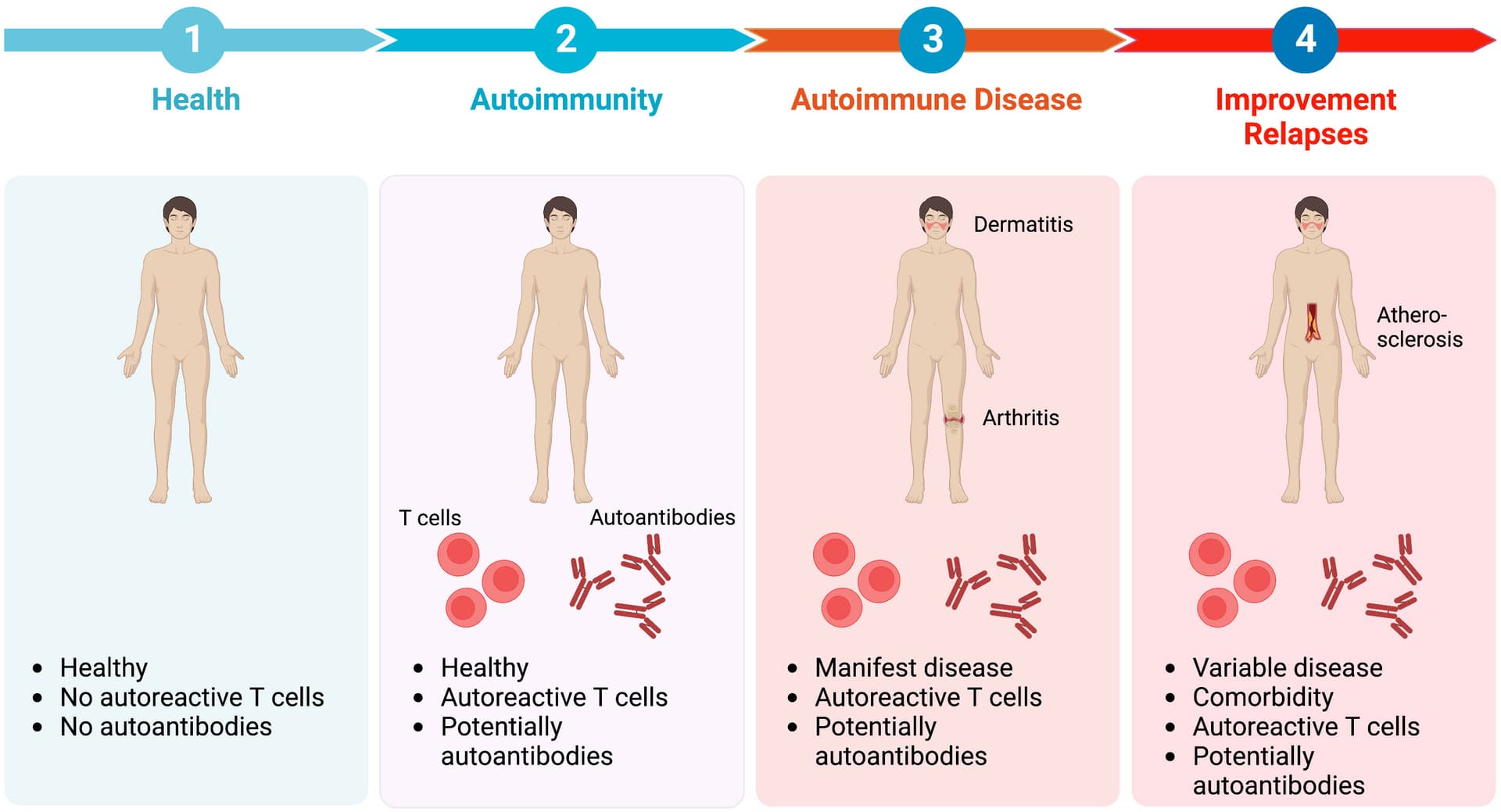 Minnesota Teen Builds App to Connect Young People With Autoimmune Illnesses