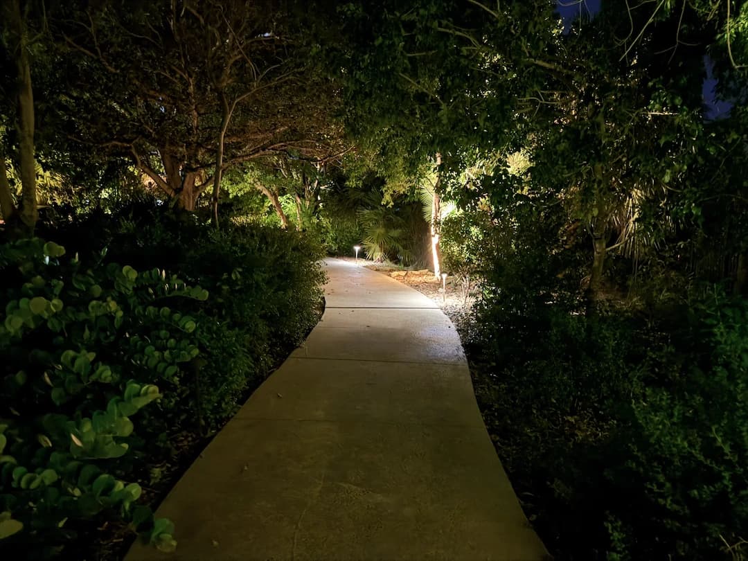 Key West Tropical Forest and Botanical Garden Anchors Local Education and Conservation