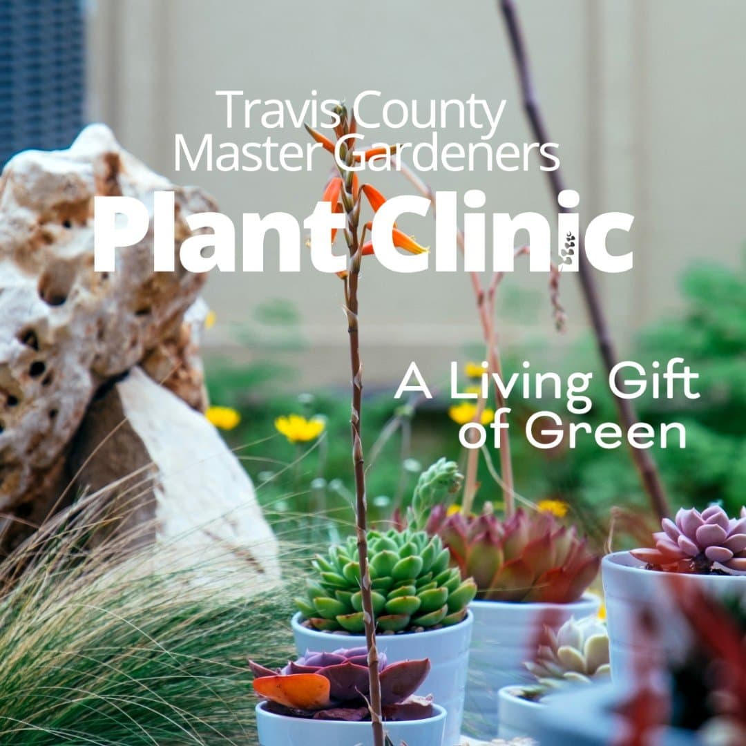 Free Master Gardener Clinics Offer Hands‑On Plant Help Across the Keys