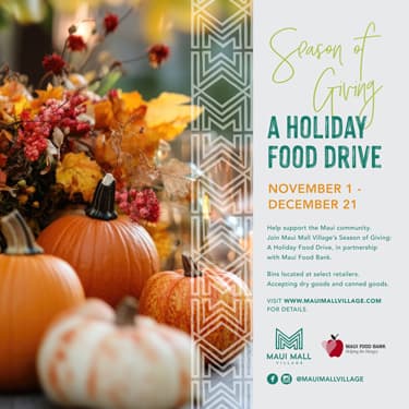 Village Launches Holiday Food Drive, Giving Tree Ahead of Thanksgiving
