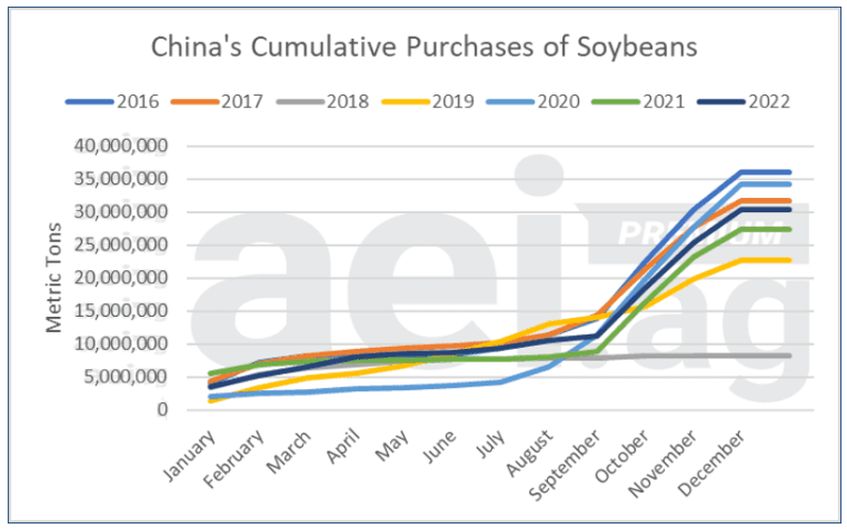 China Slow Walks Soybean Purchases, Undercuts U.S. Trade Claims