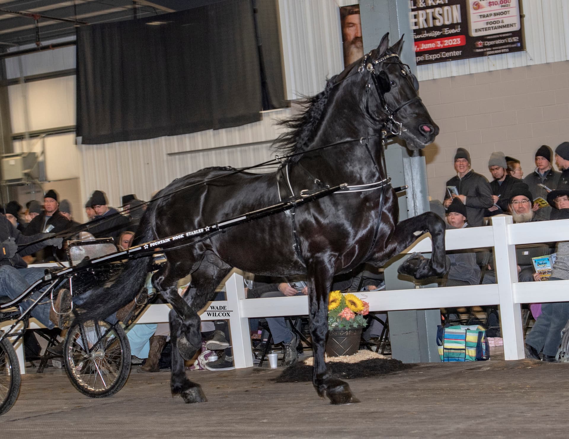 Mid‑Ohio Equine Expo to Boost Holmes County Commerce Nov. 28–29