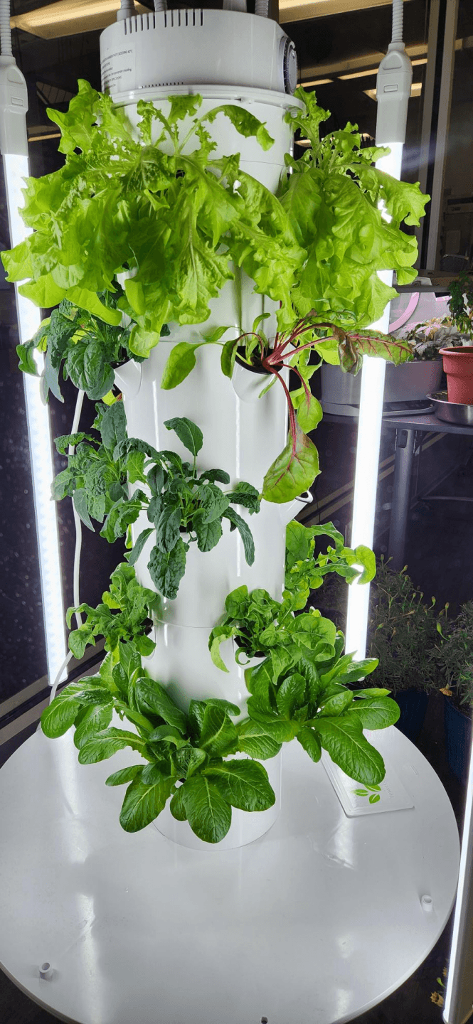 North Dakota Funds Hydroponic Gardens for K through 12 Schools