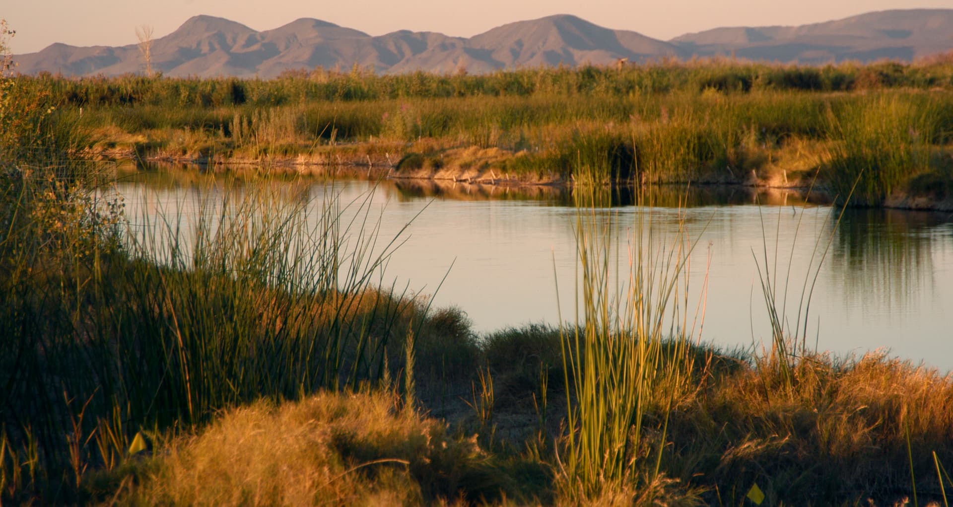Yuma County's Wetlands Offer Family Trails, Wildlife Viewing, River Access
