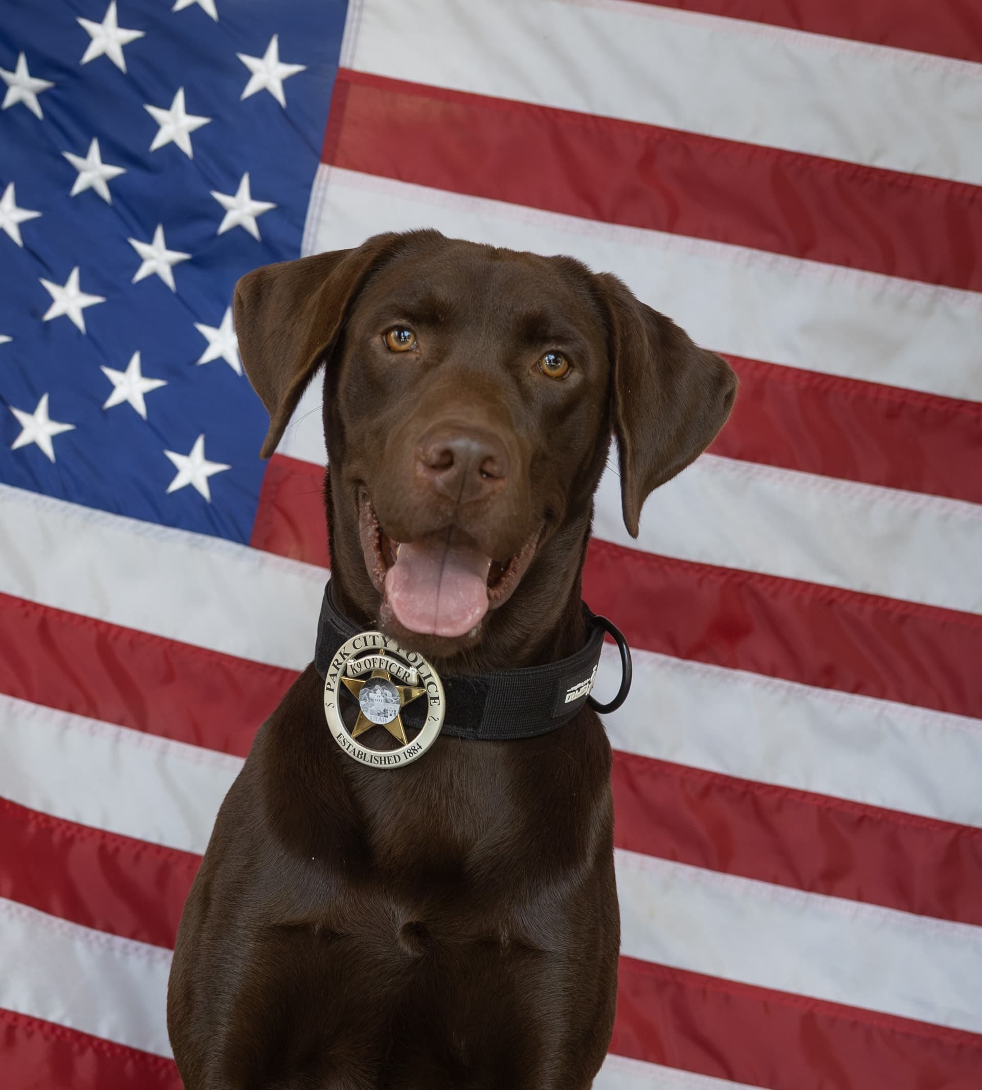Park City Council will swear in new K9, consider major projects